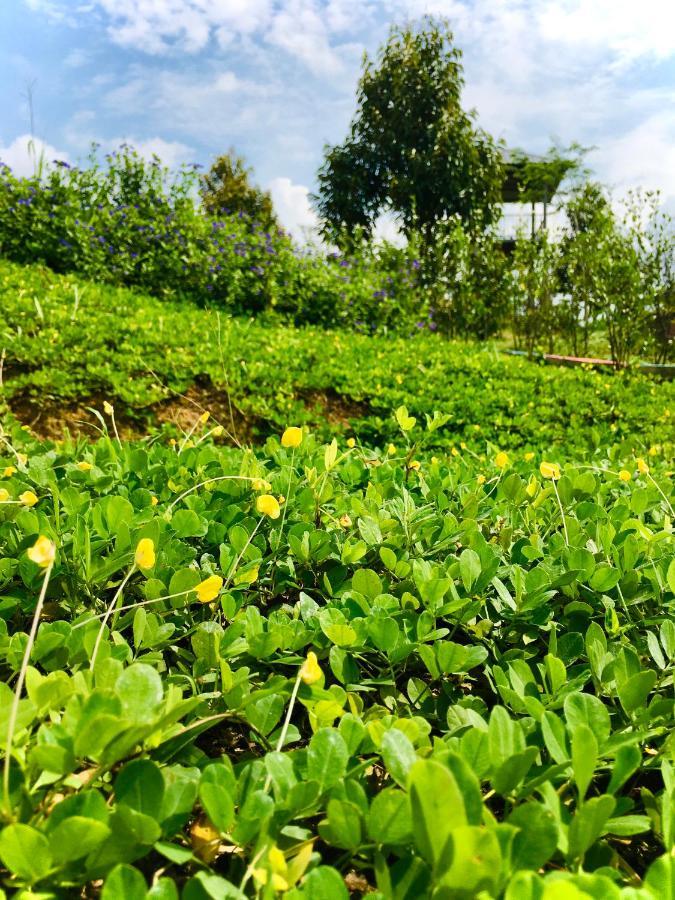Durian Ecolodge タンピン エクステリア 写真