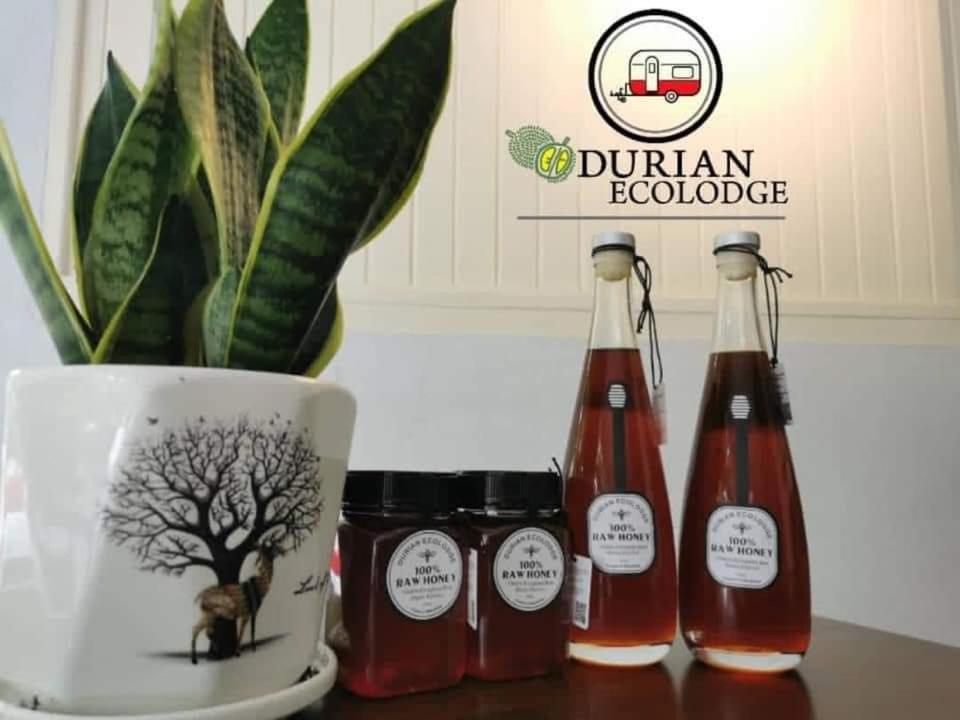 Durian Ecolodge タンピン エクステリア 写真